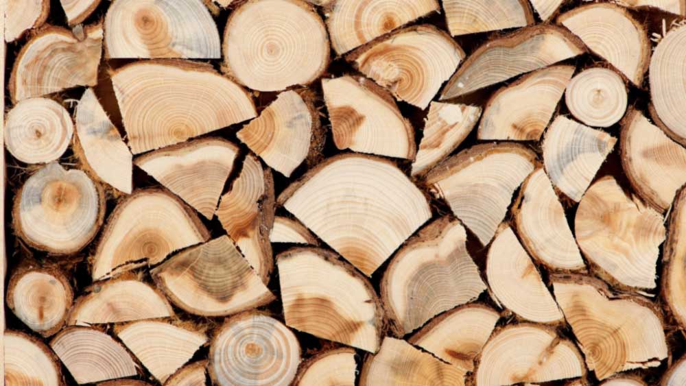 Great gas power: hospitals in Bashkortostan buy firewood for the winter